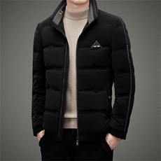 2023年新款羽绒服P245，男装羽绒服，电商D223-1