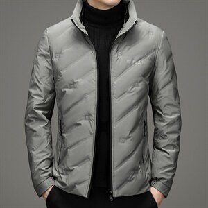 冬季商务休闲灰鸭绒羽绒服立领中年男简约时尚上衣XXH9911-P245，男装羽绒服，电商B212（原钱塘6029）