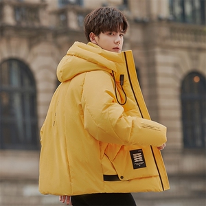 2025新款冬季男士加厚工装连帽休闲羽绒服A415-23333-P430698图片