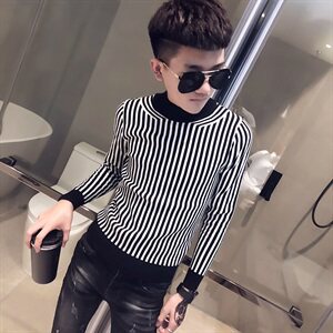 社会精神小伙半高领毛衣修身条纹针织衫线衣 502-MY09-特图片