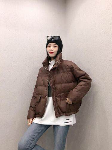 DG851韩版新款时尚立领保暖百分百羽绒服,女装羽绒服,L·H·X