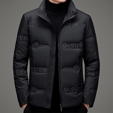 冬季新款羽绒服中年男士冬装时尚休闲立领保暖外套MSNA20630-P265，男装羽绒服，电商B212（原钱塘6029）