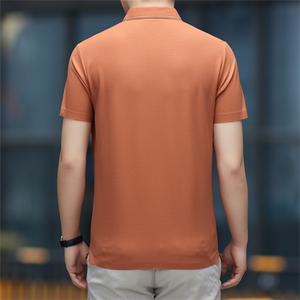中年休闲男装翻领半袖T恤衫2023夏季新款男士polo衫薄款休闲上衣图片