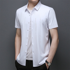 夏季男士短袖衬衫青年休闲绅士修身衬衣免烫商务，男装衬衫，电商B360