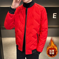 2025冬季新款2028款立体剪裁50%灰鸭绒标羽绒服，男装羽绒服，星座505-2（原电商A260-1)