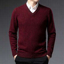 BSS6053男士2023年秋新款加厚长袖V领纯羊毛针织衫休闲青年P150图片