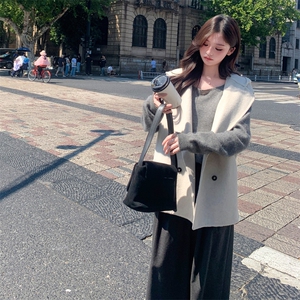 现货主推新款双面羊毛连帽休闲百搭宽松减龄背心马甲图片