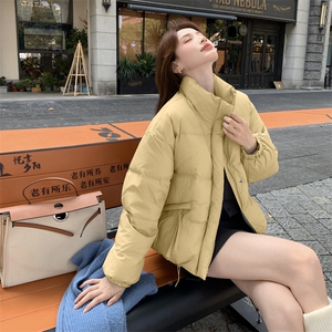 现货新款独特超好看短款羽绒服女款冬季立领面包服小个子羽绒外套图片