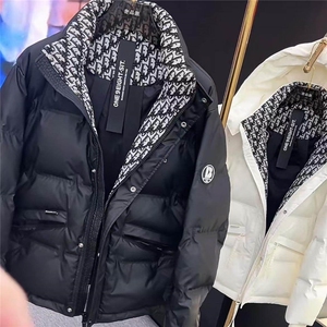 短款立领秋冬季潮流男装加厚高端保暖鹅绒服外套yrf560-TP235图片