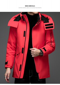 白鸭绒羽绒服2023冬季新款中年可脱卸帽男士外套ALXB8612-P335图片