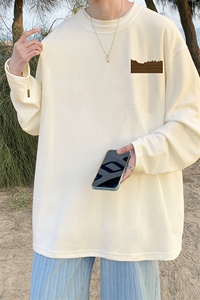 抖音供货、秋季现货舒适棉宽松重磅长袖T恤 D223A-CT2324-特P28图片
