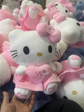 新款KT猫毛绒玩具抱心公仔猫咪布娃娃抱枕哈喽玩偶娃娃机生日礼物
