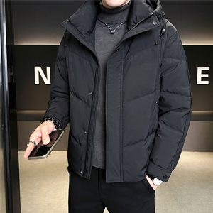 标50绒 连帽男士羽绒服冬季2025新款加厚外套 A313-9957-P215图片