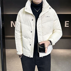 2024新款羽绒服男士冬季外套简约刺绣冬装上衣B240-YR9802-P175，男装羽绒服，电商B240