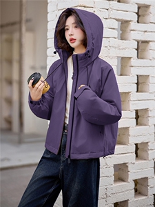 爆《2025冬季新款连帽90绒冲锋衣短款羽绒服休闲时尚，简约大气》图片