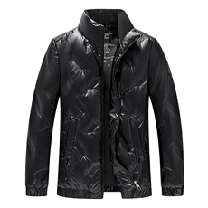 2023冬季新款羽绒服男保暖外套80白鸭绒纯色休闲立领AJY9806-P180，男装羽绒服，电商B212（原钱塘6029）