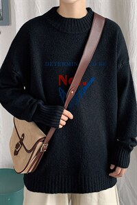 ！2023秋冬新款男士半高领毛衣百搭潮流长袖针织衫M608P45图片