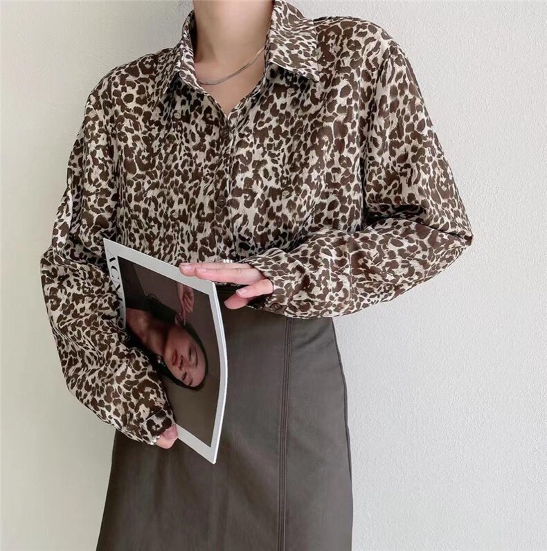 爆点衬衣，全明补单，其它，麦缇诺