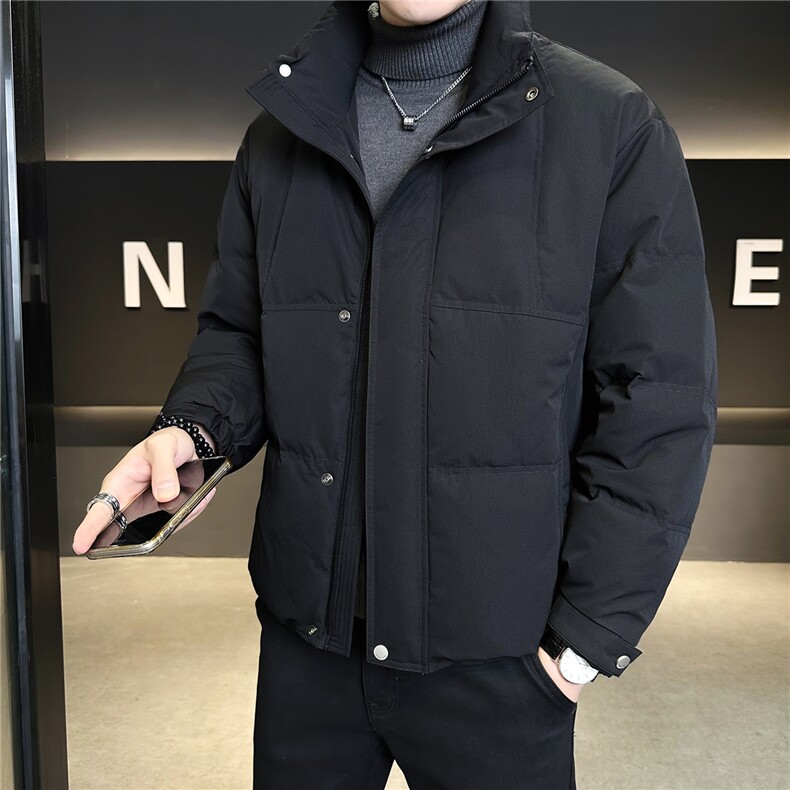 标50绒羽绒服男冬季2025新款外套A313-3301-P205劵后298,男装羽绒服,电商A313