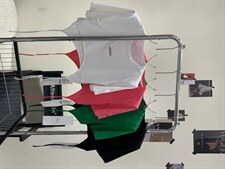 小短款T小个子百搭款，其它，Alissa Lin