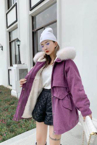 新款派克服，女装，菲特佳人