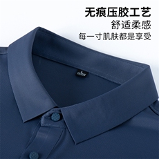男士2024年夏季新款翻领T恤男短袖商务休闲体恤男Polo衫，男装T恤，电商B212（原钱塘6029）