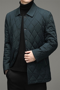 冬季中老年男棉衣棉袄老人休闲棉服中年爸爸冬装外套MY2187-P205图片