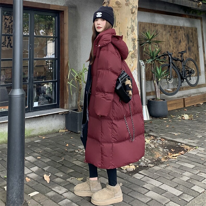 现货2026新款冬季长款羽绒高克重新标90绒2D009-Y19-P390控588,女装羽绒服,2D009
