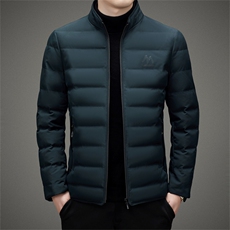 中年立领休闲羽绒服冬季新款男士加厚保暖白鸭绒外套上衣爸爸装，男装羽绒服，电商B212（原钱塘6029）