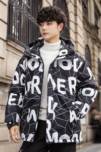 TIM 2026冬季新款90%白鸭绒连帽羽绒服男XZ109-Y1260-P198图片