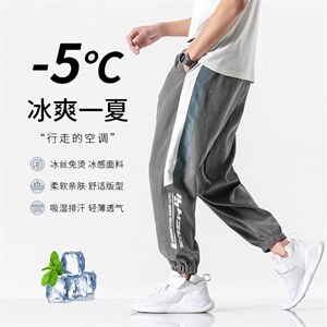 夏季热卖数据款 透气宽松大码束脚休闲裤冰丝裤 0502-P18图片