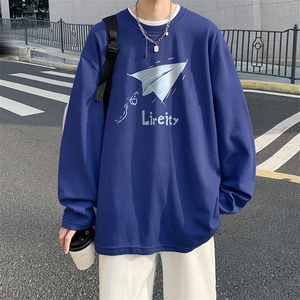 抖音供货、秋季现货舒适棉宽松重磅长袖T恤 D223A-CT2328-特P28图片