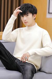 家乐5727男士半高领毛衣仿水貂绒韩版打底针织衫潮流线衣冬装图片