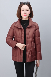 时尚休闲女士立领羽绒棉服女2025冬季新款洋气宽松小个子棉袄外套图片