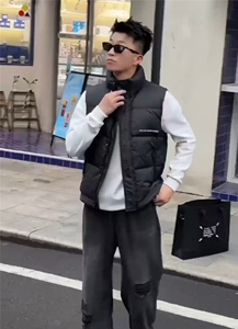 休闲立领羽绒马甲印花潮男流行时尚高级羽绒马甲  313B-TM928-P75图片