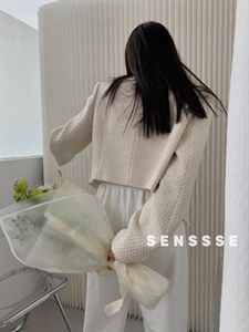 [现货]春款小香风短款百搭韩系外套,其它,SENSSSE