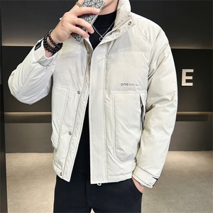2025冬季DS-A225标新款男士立领白鸭绒羽绒服夹克885506-P150图片