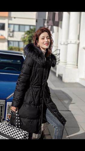 红.炫影 HZHXY101917