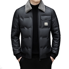 DJ23YR9936钱塘2020-3中年男士商务休闲翻领百搭冬季羽绒服P260，男装羽绒服，钱塘207-3