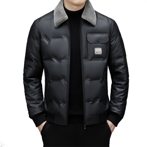 DJ23YR9936钱塘2020-3中年男士商务休闲翻领百搭冬季羽绒服P260图片