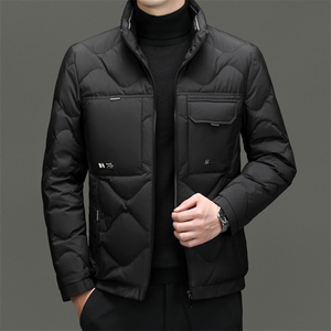 DF23163钱塘2020-2新款冬季时尚百搭立领简约中年男士羽绒服P243