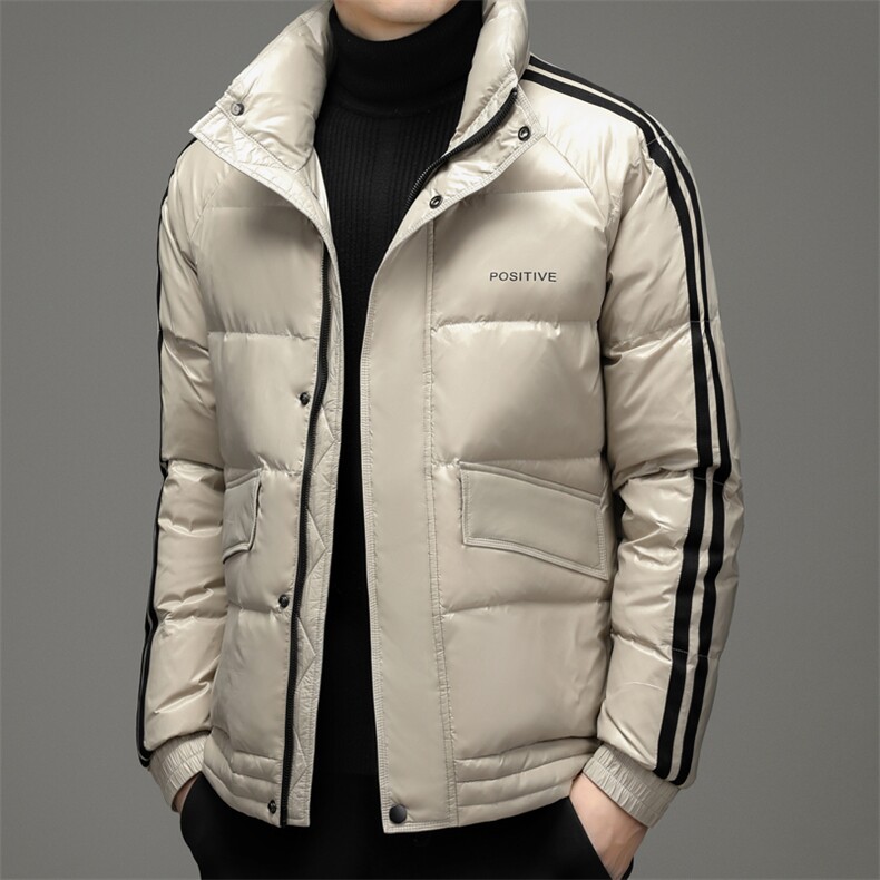2024年新款男士皮衣羽绒服P240，男装羽绒服，电商D223-1