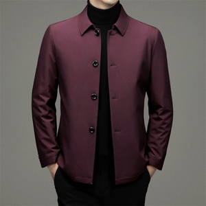 2023冬季休闲男士羽绒服上班领导保暖90%白鸭绒外套ZL2269-P165图片
