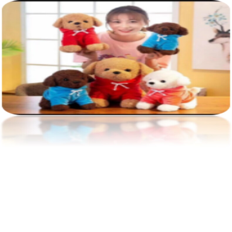 穿衣泰迪狗，文豪毛绒玩具