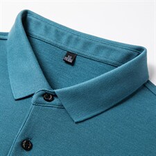 BP2721钱塘2020-2秋季新款中年男士长袖条纹上衣翻领休闲T恤P74，男装T恤，钱塘207-2