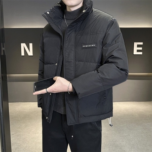 店主风 2025年新款时尚立领潮流保暖羽绒服男A236-G66-P195图片