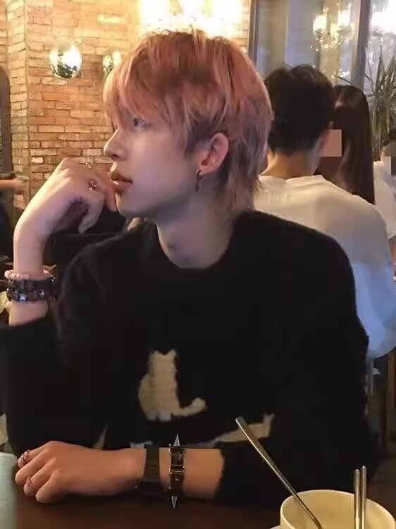 网图圆领毛衣针织衫潮牌帅气秋冬季打底衫外套221-5-MY113/P48,男装T恤,星座221-5