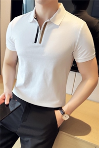 现货短袖翻领拉链设计时尚翻领Polo衫T0271-P55图片