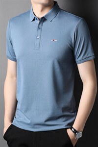 男式2023年夏季新款T恤衫男短袖翻领休闲polo体恤上衣图片