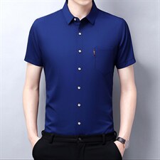 夏季男士商务休闲衬衫短袖上衣免烫中年衬衫纯色衬衣男高质量男装，男装衬衫，电商B212（原钱塘6029）